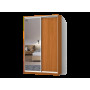 Шкаф купе 200х60х220 см Стандарт